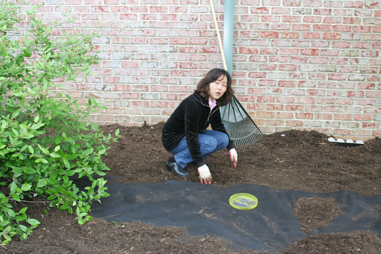 050308-clean (15).jpg